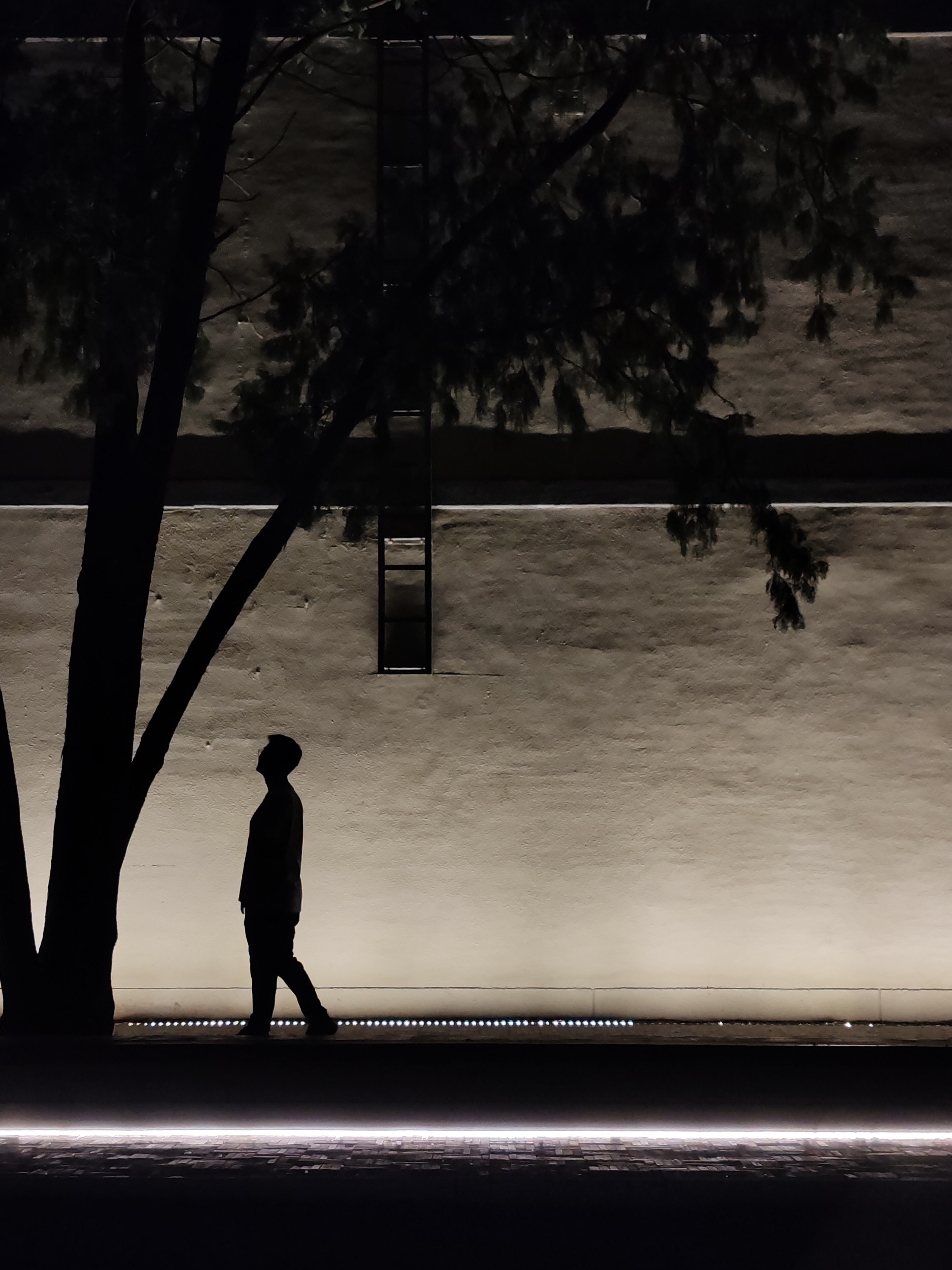 Shadow